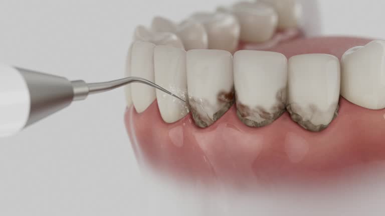 Reliable Dental contractor in Livingston, TN by Dentist Open Now